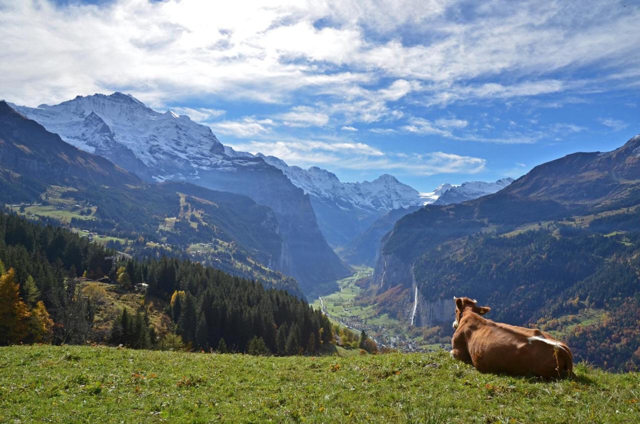 Arenas Resort Victoria-Lauberhorn Wengen Esterno foto